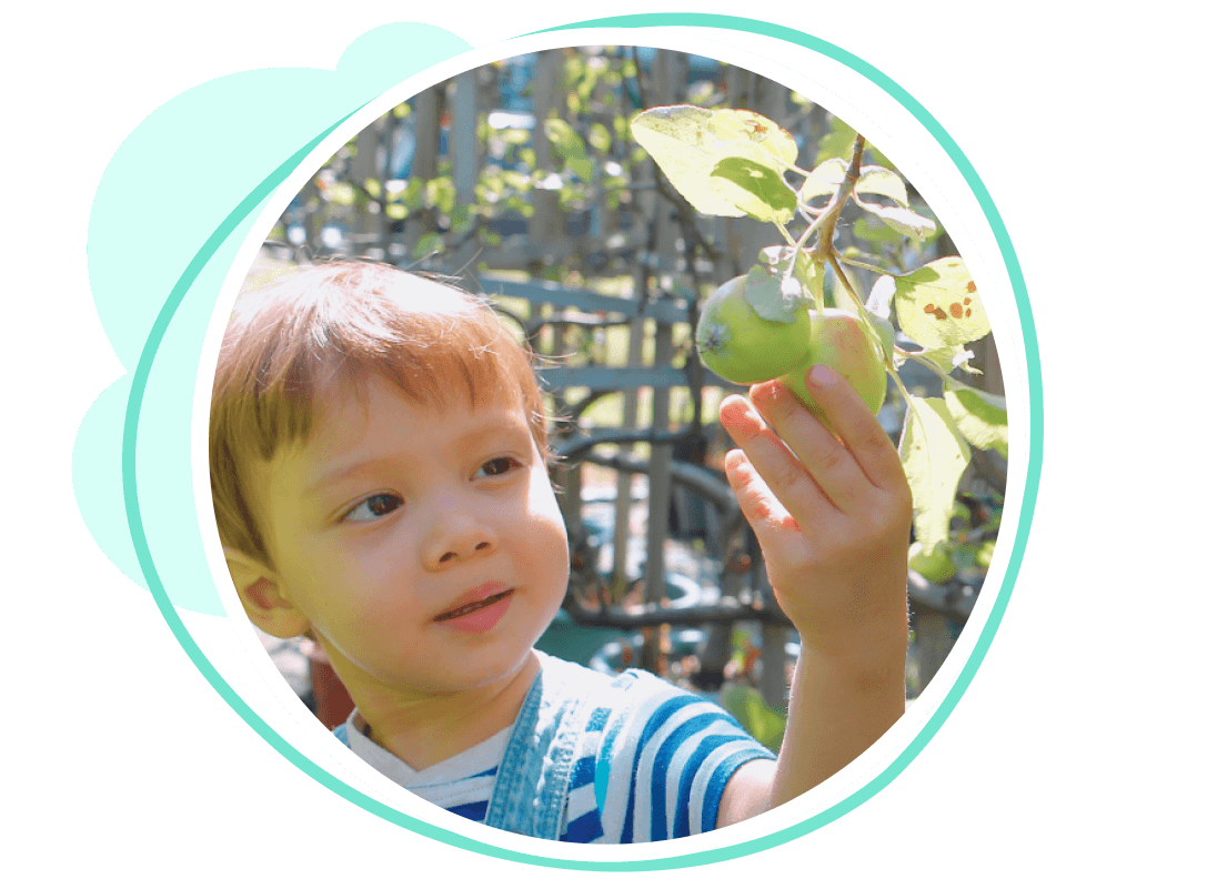 Smiling child picking apples